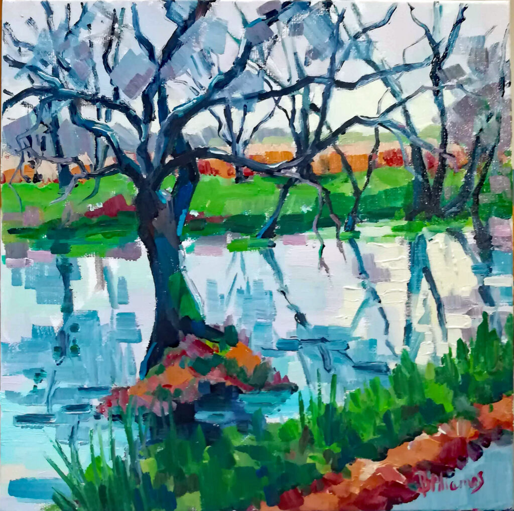 Le trou d'eau - campagne de Baden , huiles, campagne, reflets, béatrice aliamus